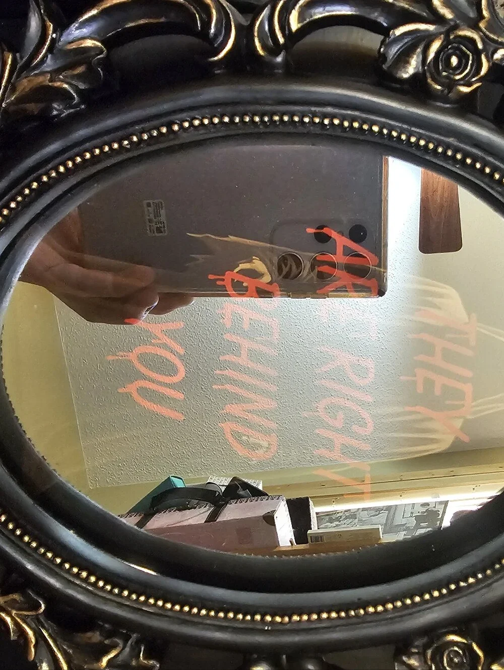 Martha Stewart Led Lighted Mirror  They Are Right Behind You